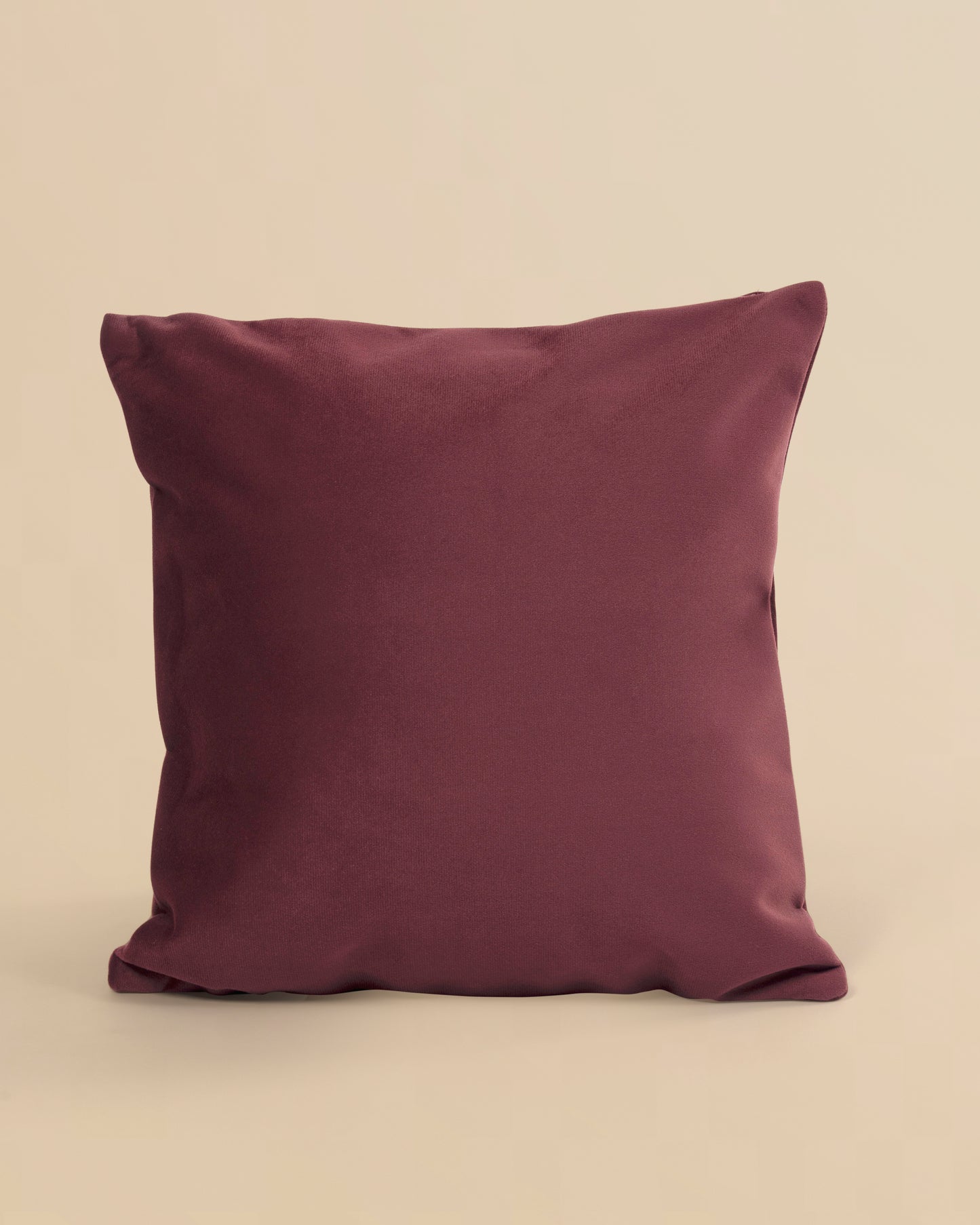 Avinya – Block Print & Velvet Cushion Cover (D3)