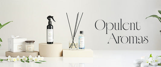 The Invisible Interior How Scent Defines the Soul of a Home