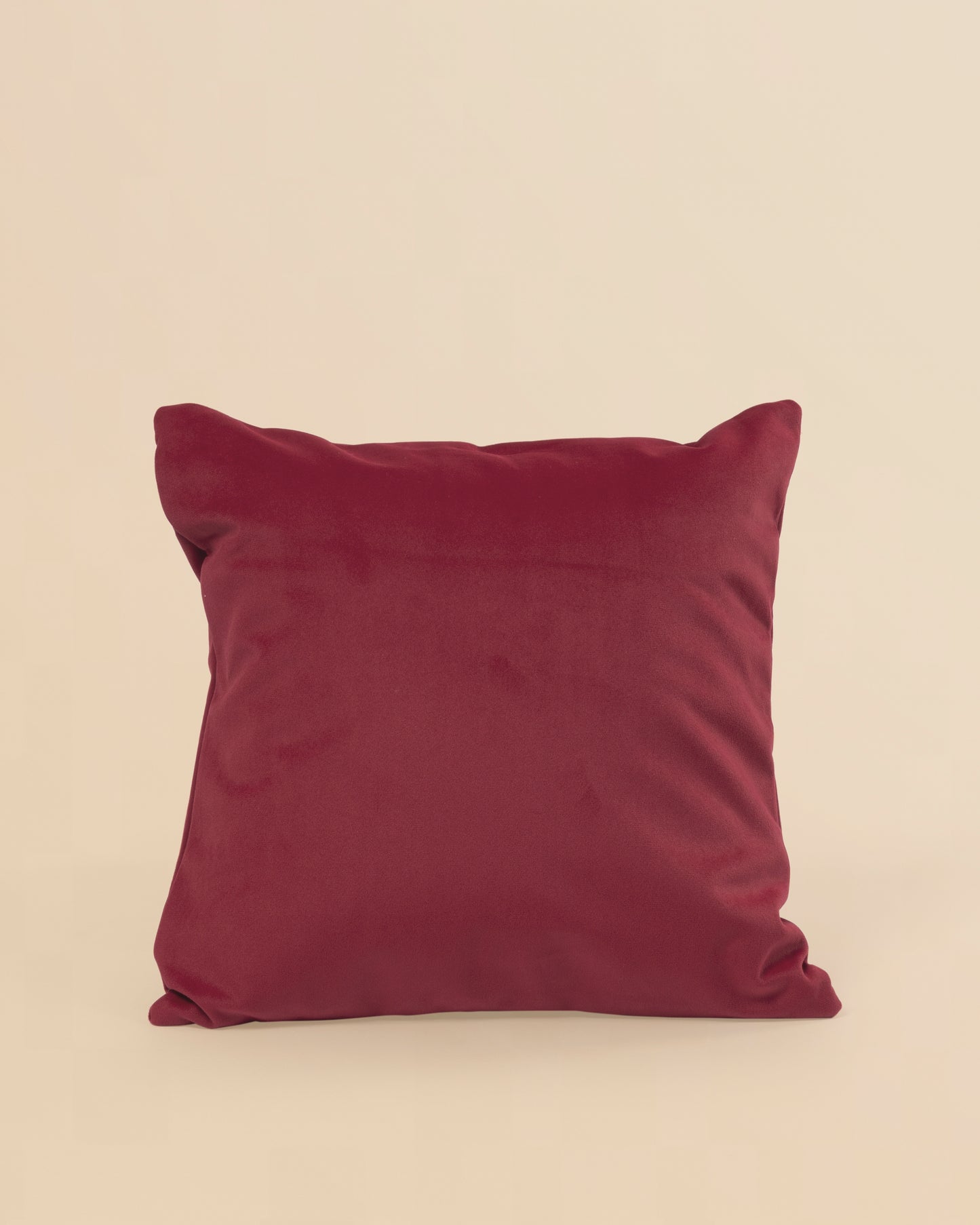 Avinya – Block Print & Velvet Cushion Cover (D1)