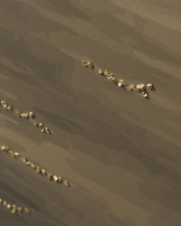 Scandinavian Scenery