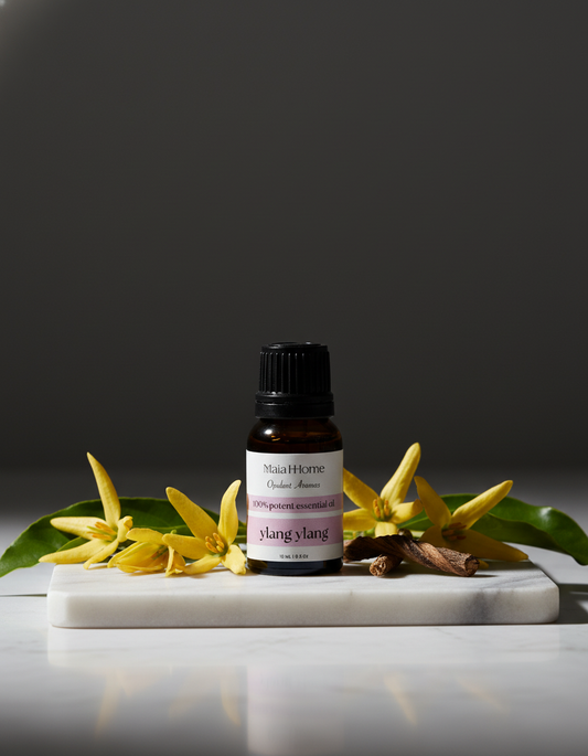 Ylang Ylang