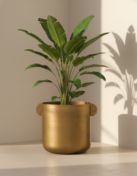 Two Ear Planter