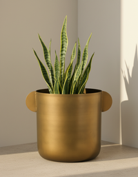 Two Ear Planter