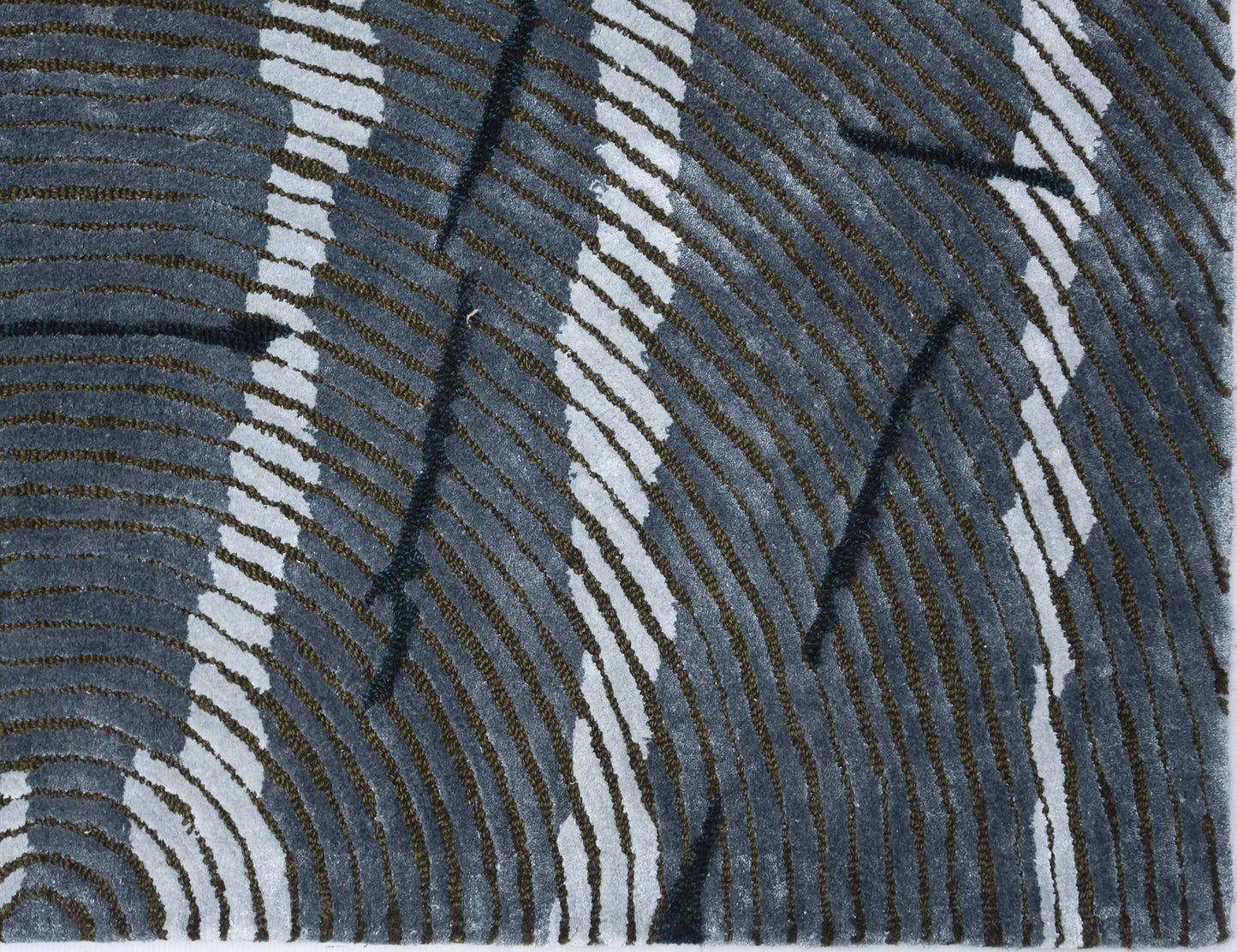 Desert Lines